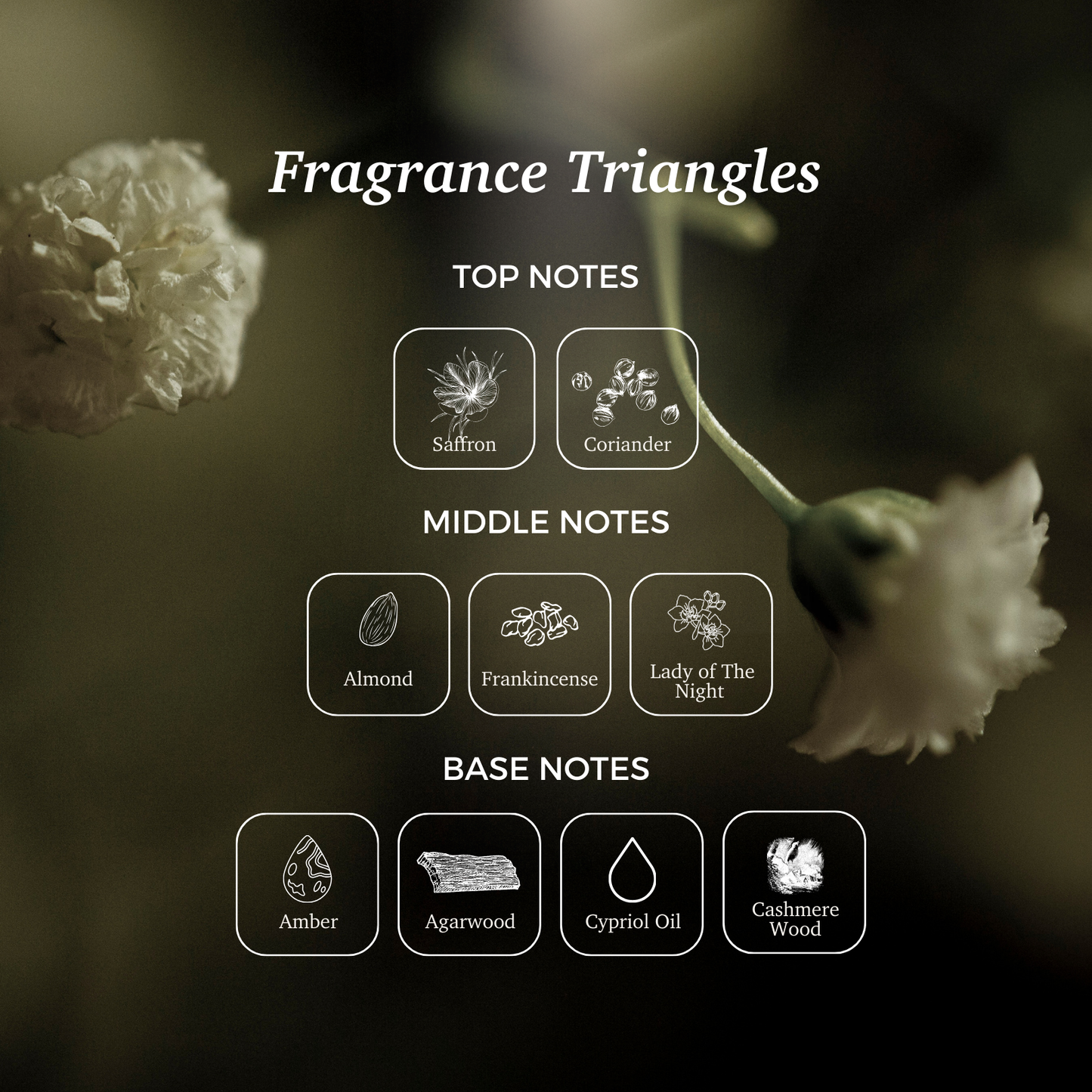 Intense Nourishing Oil in Balm 40 mL