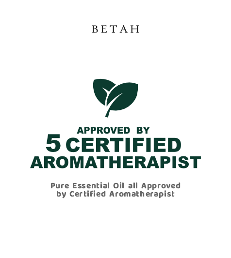 Ayem Essential Oil Diffuser Aromatherapy